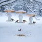 Preview: Vogelfuetterung-im-Winter-mit-nachhaltigem-Vogelhaus