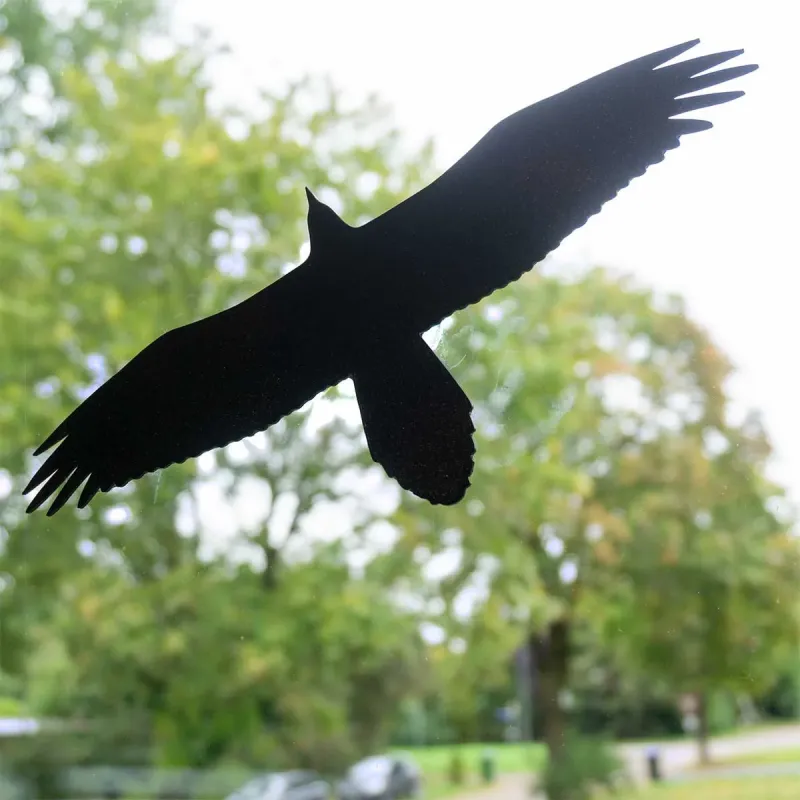 Vogelsilouette eines Steinadlers für Scheiben schützt Vögel davor gegen die Scheibe zu fliegen
