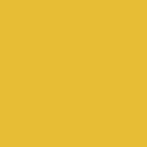 Solid Colours / Honig