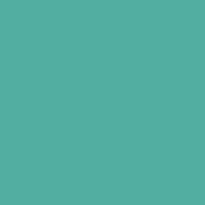 Solid Colours / Mint